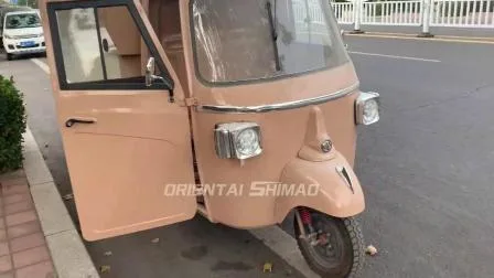 Camion de nourriture de scooter électrique à trois roues de haute qualité pour le café
